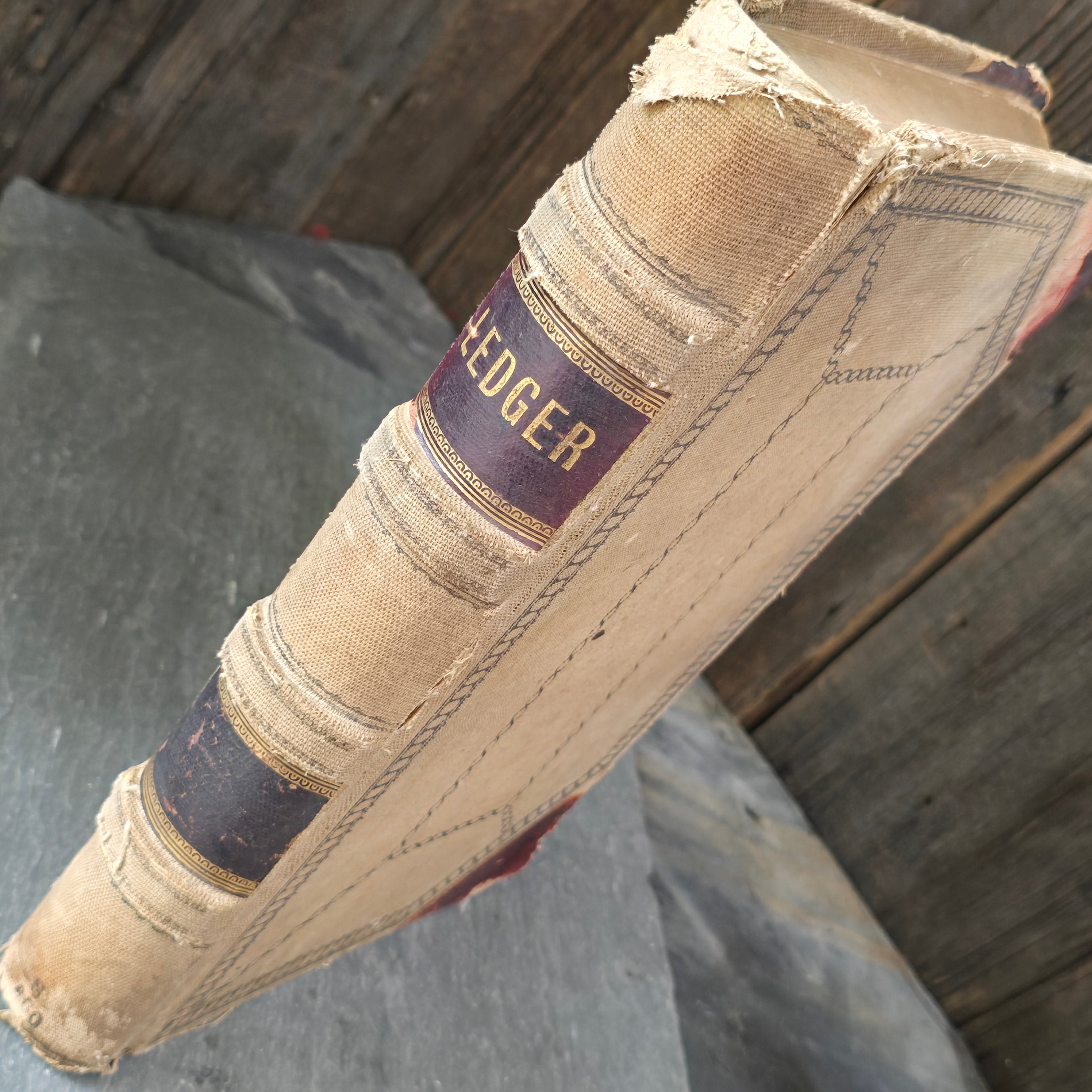 Antique Large Accounting Farming Ledger Angelica, New York Egg Farm Book 1909