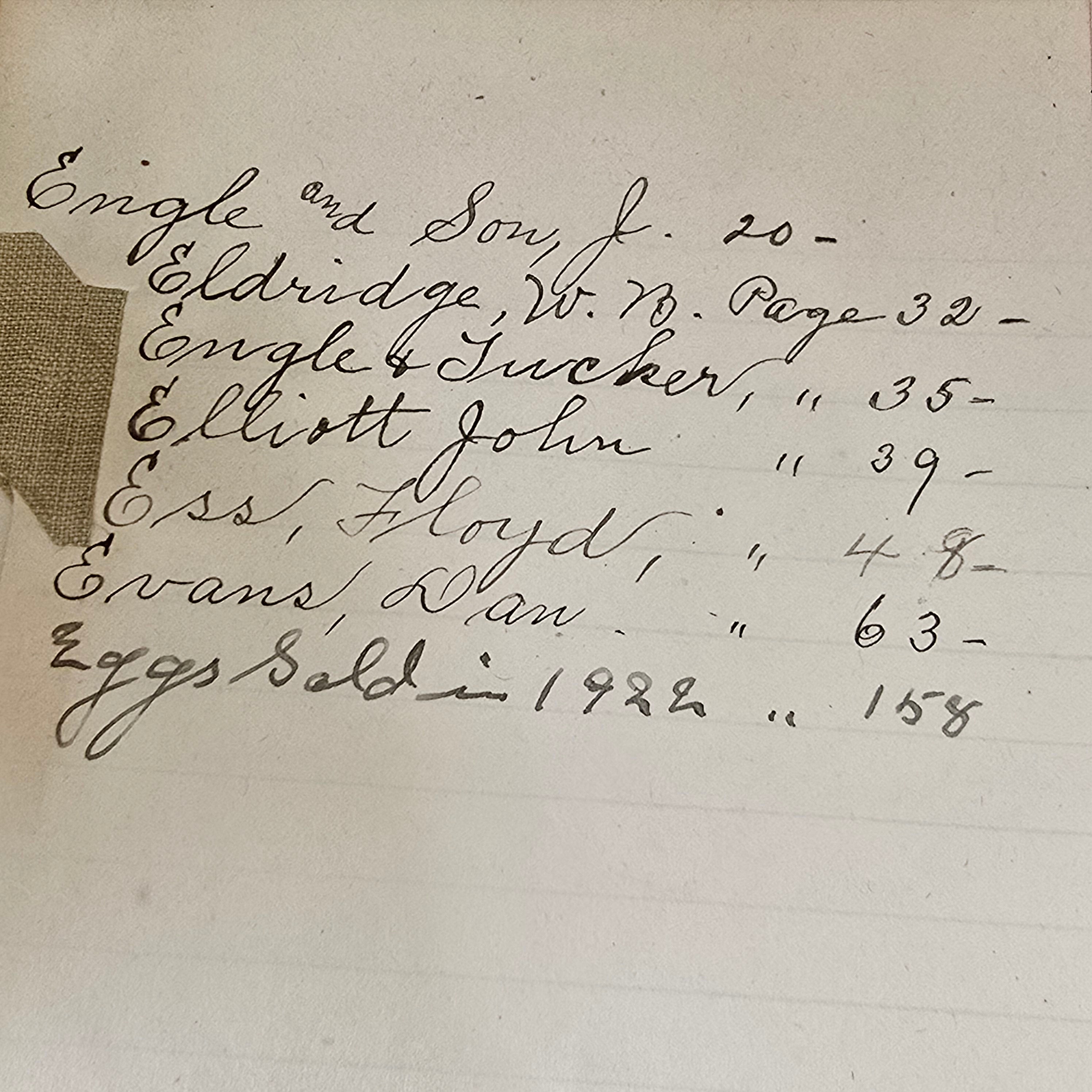 Antique Large Accounting Farming Ledger Angelica, New York Egg Farm Book 1909