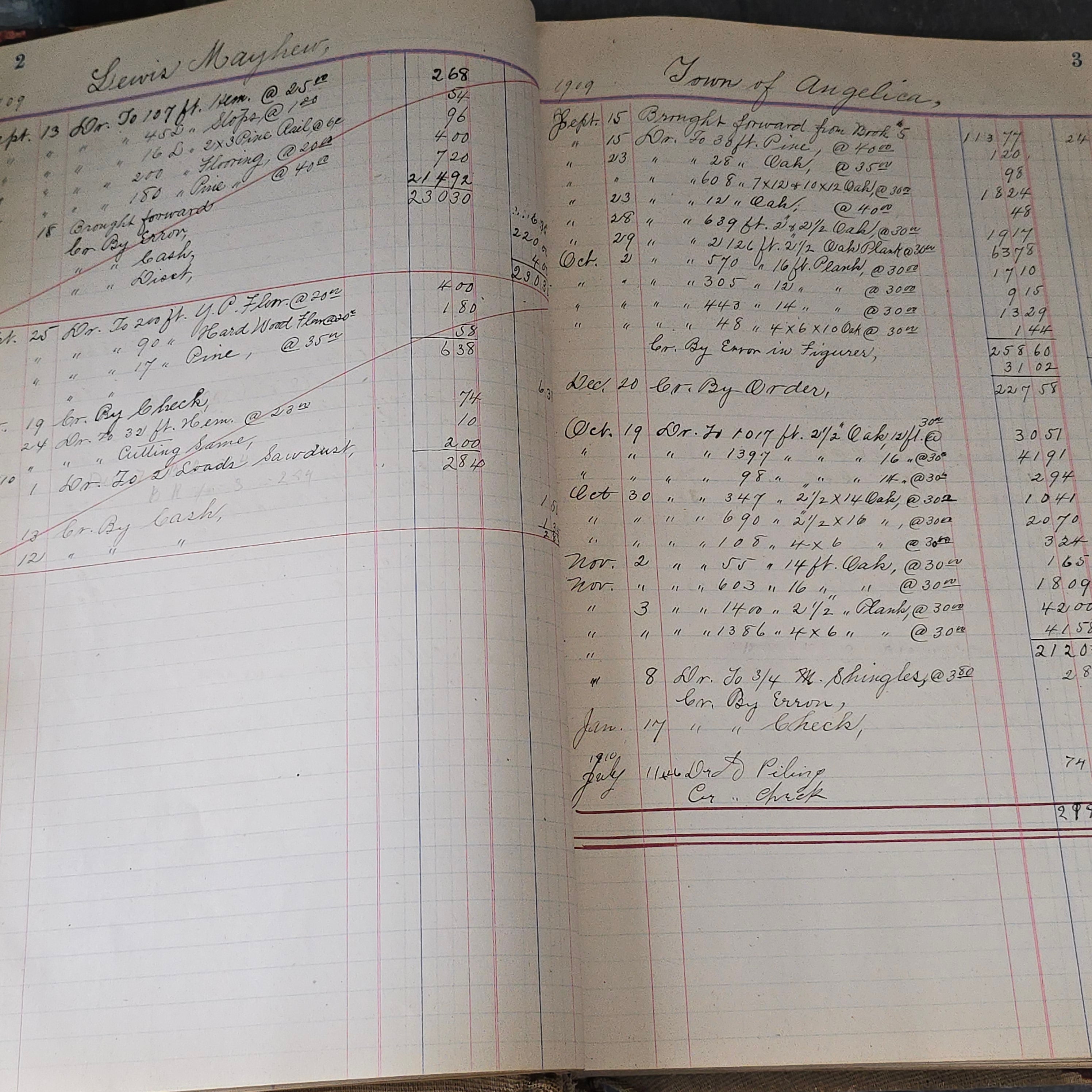 Antique Large Accounting Farming Ledger Angelica, New York Egg Farm Book 1909