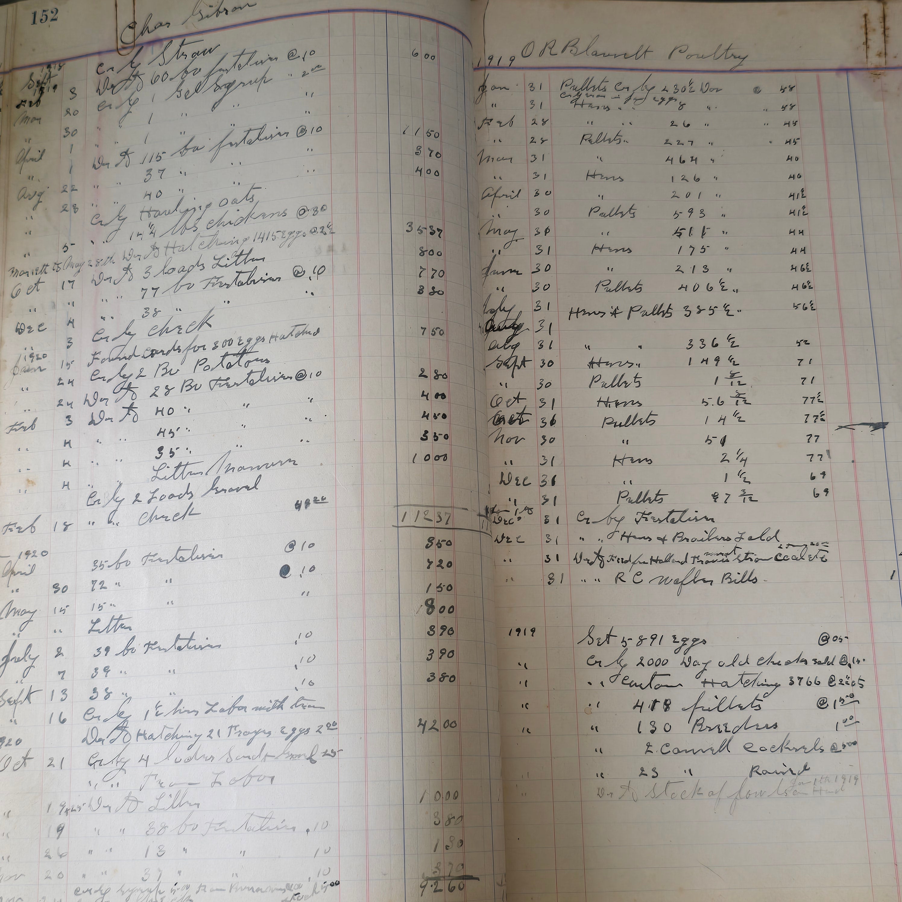 Antique Large Accounting Farming Ledger Angelica, New York Egg Farm Book 1909