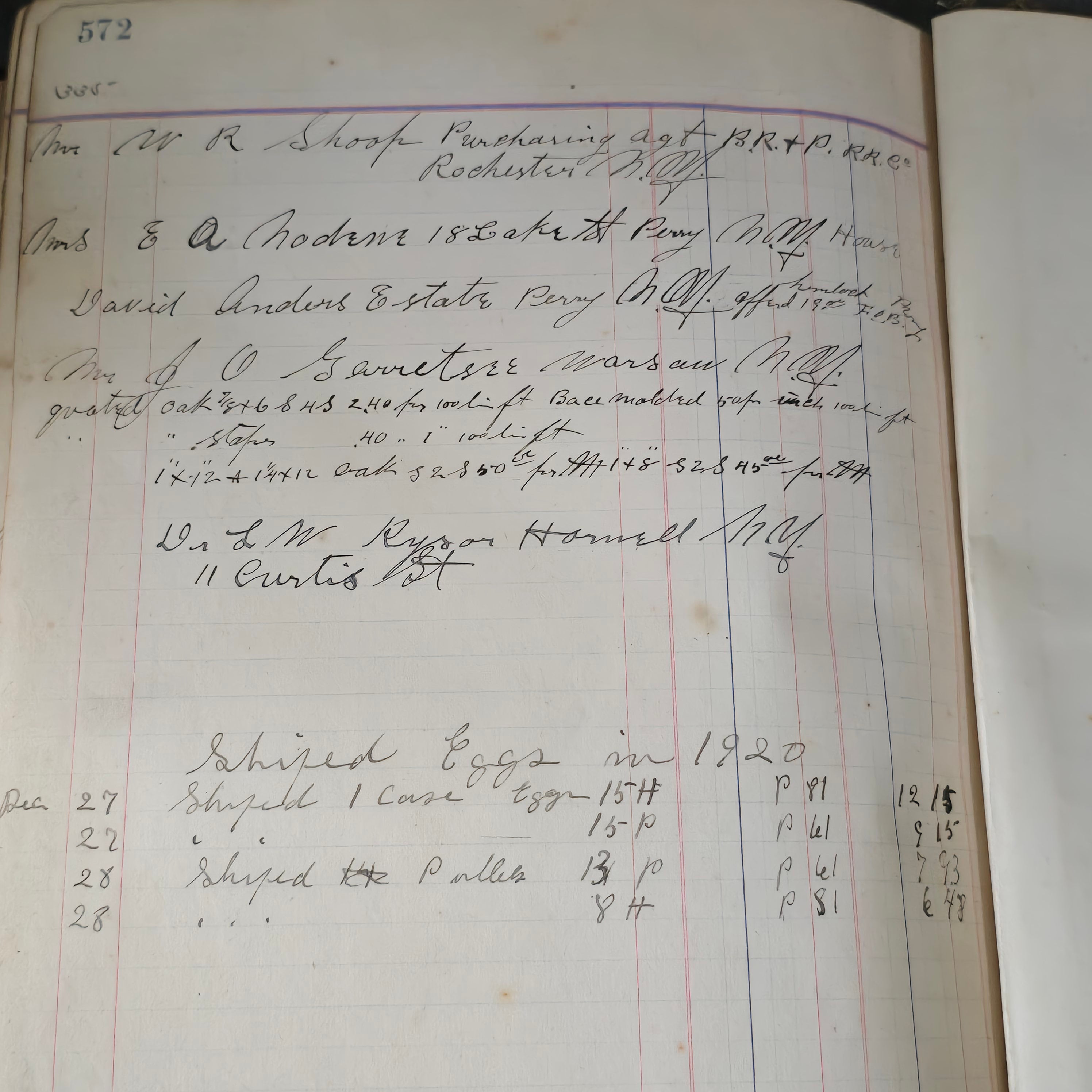 Antique Large Accounting Farming Ledger Angelica, New York Egg Farm Book 1909