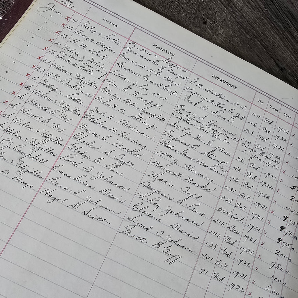 1931 Distribution Docket Fred Ludwick Sheriff McKean County PA Ledger Case Book