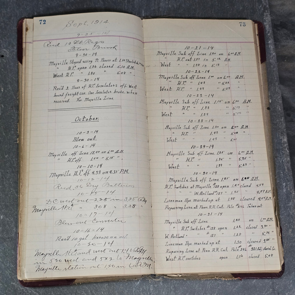 Early 1900's Westfield, NY Area Accounting Ledger Book w/ Interesting Writing