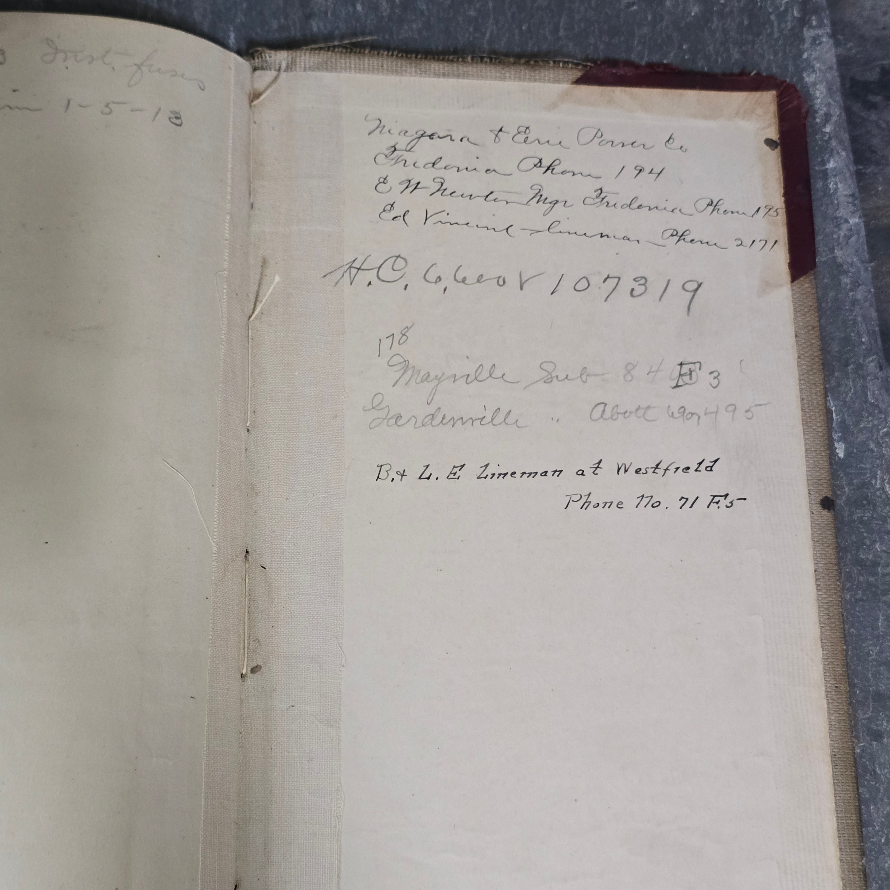 Early 1900's Westfield, NY Area Accounting Ledger Book w/ Interesting Writing