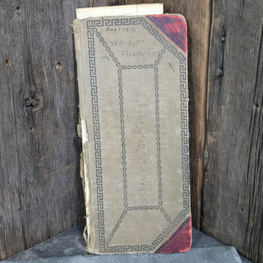 Early 1900's Westfield, NY Area Accounting Ledger Book w/ Interesting Writing