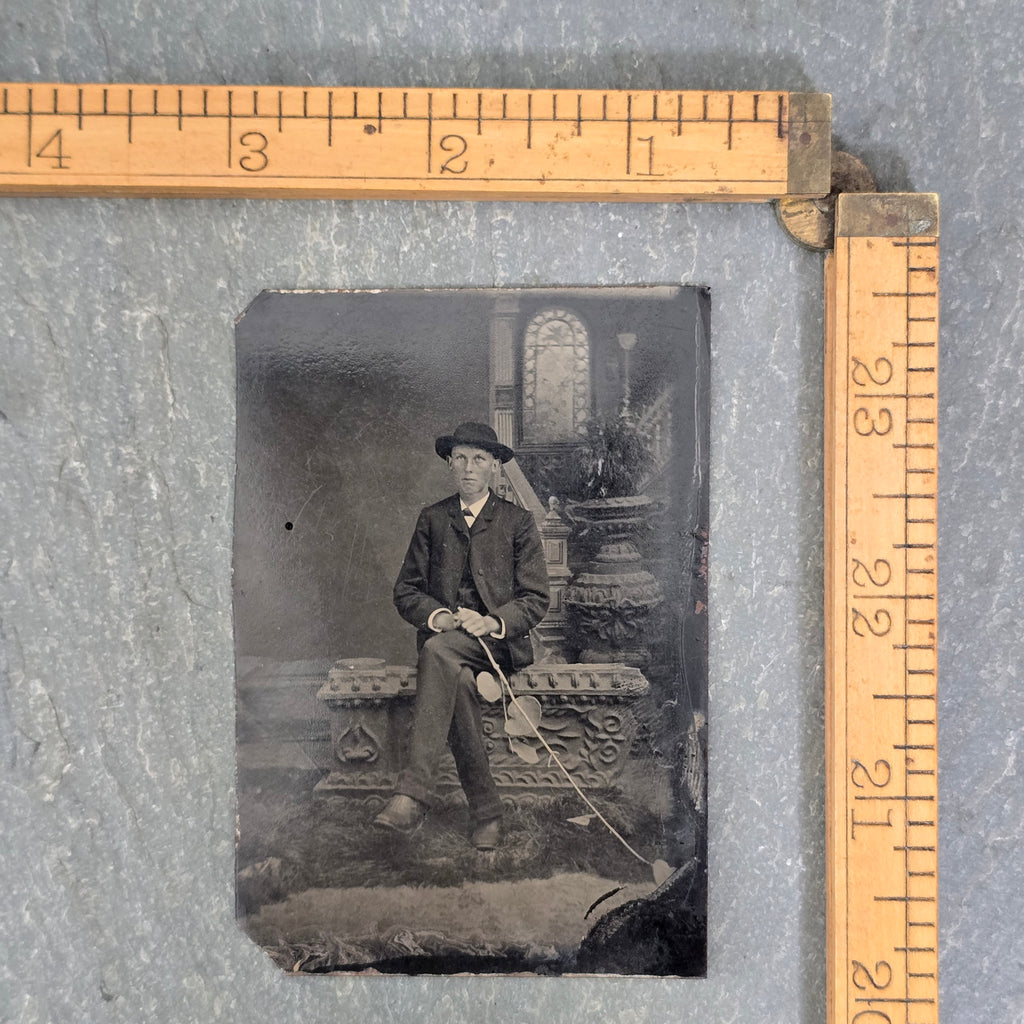 Odd Man Holding Broad Leaf Ivy Vine Antique Victorian 1/6 Plate Tintype Photo