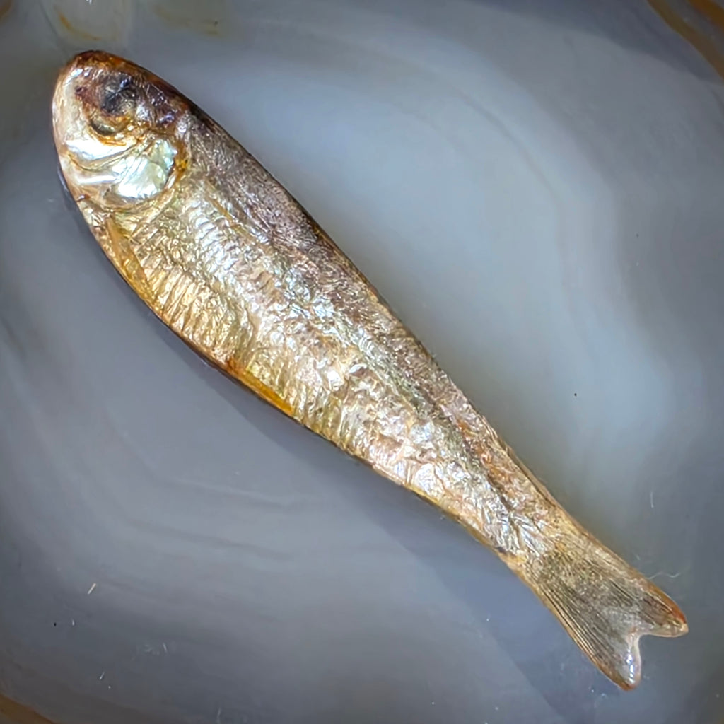 Ken Loeber 1981 Vintage Signed Lucite Encased Minnow Brooch Fish Pin Oddity