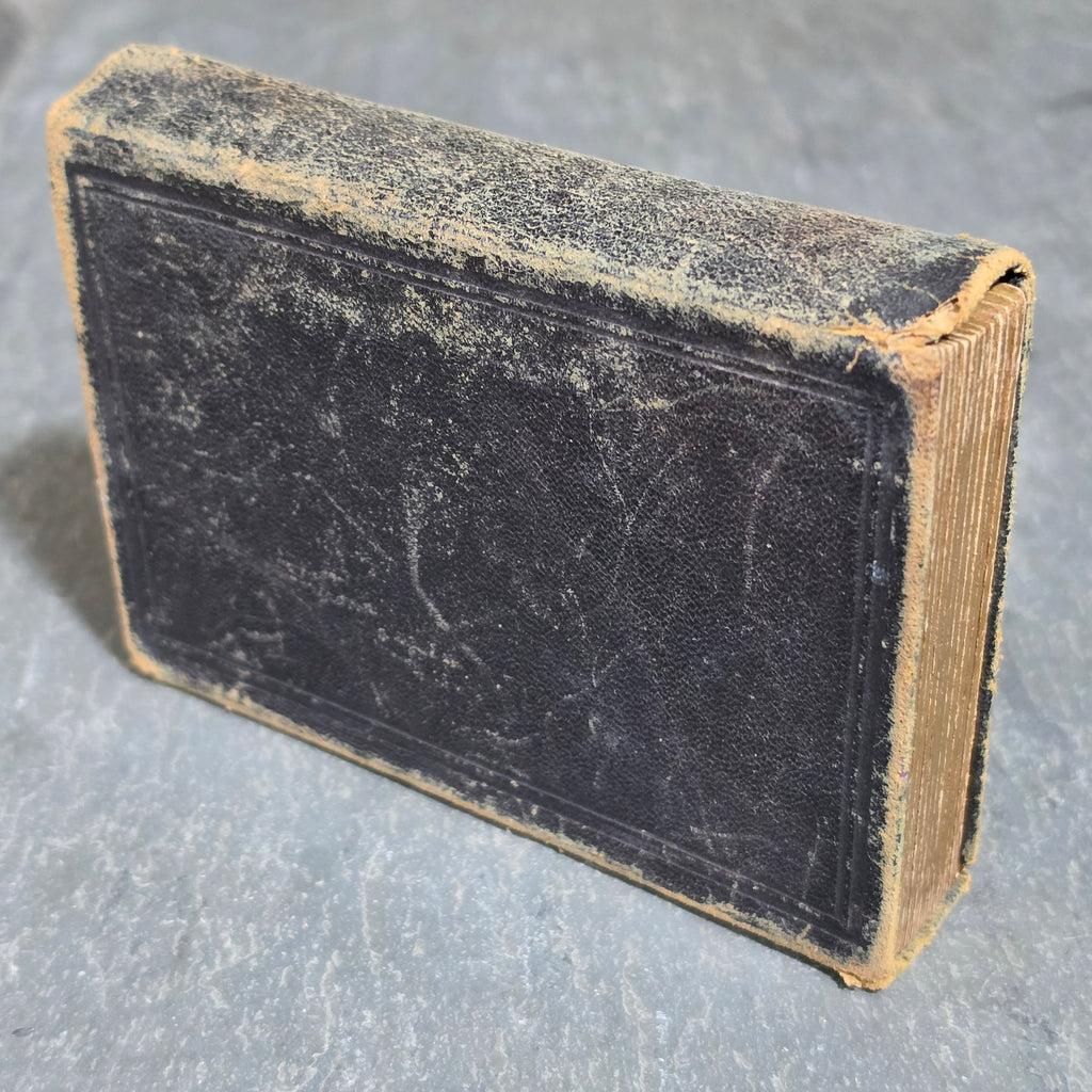 Civil War CDV Tintype Album 154th NY Hardtack Reg Charles Whitney Andersonville