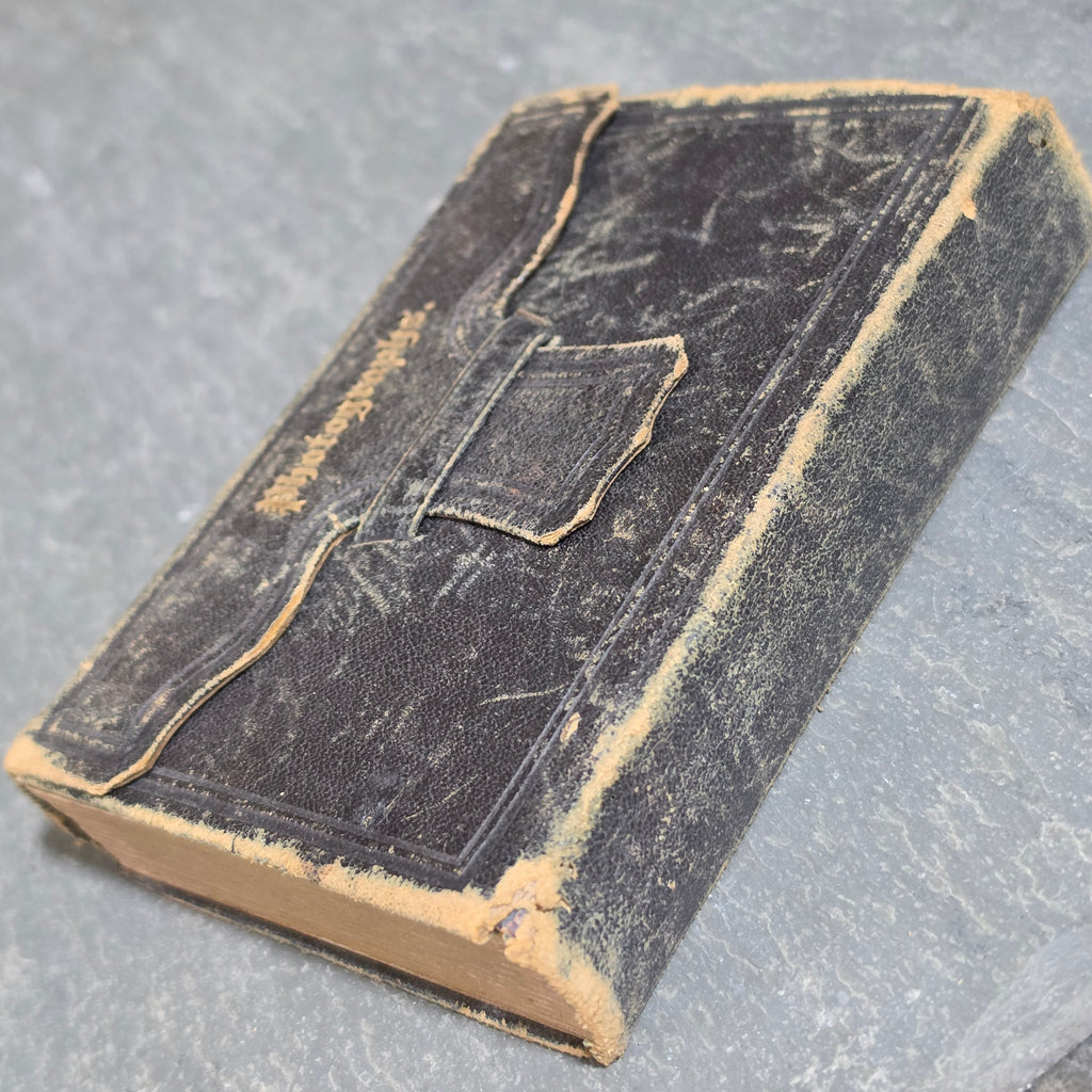 Civil War CDV Tintype Album 154th NY Hardtack Reg Charles Whitney Andersonville