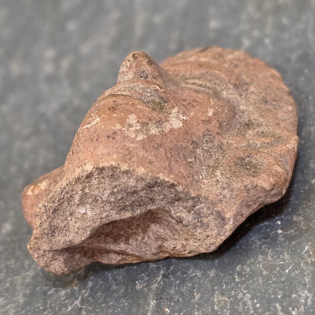 Pre Columbian Terracotta Head Figurine Fragment Mesoamerican Vera Cruz Artifact